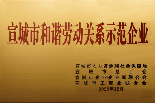 宣城市和諧勞動關系示范企業(yè)
