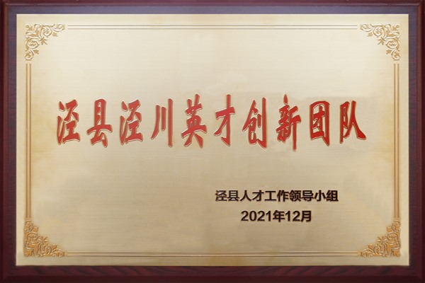 涇縣涇川英才創(chuàng)新團隊